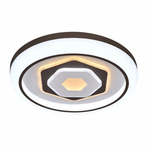 Потолочный светильник F-Promo Lamellar 2456-5C