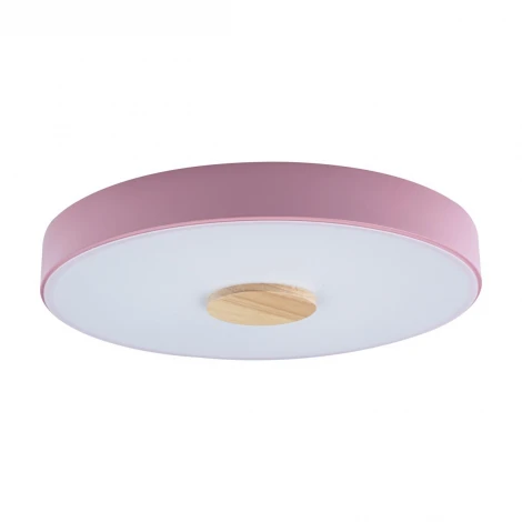 Потолочный светильник круглый Loft IT Axel 10003/24 Pink (LED, 220V, круглые)