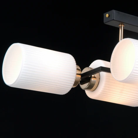 Потолочная люстра на штанге ILLUMICO IL0809-4ASQ-25 BK AB NAPLES (220V)