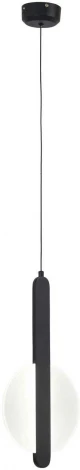 Подвесной светильник светодиодный AM Group AM462 BK (220V, на проводе)