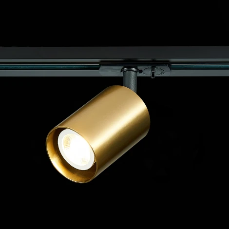 Трековый светильник ST Luce St302 ST302.206.01 (220V, круглые)