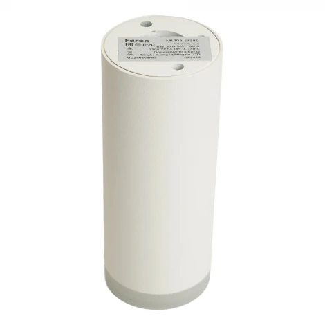 Светильник потолочный накладной Feron ML102 51389