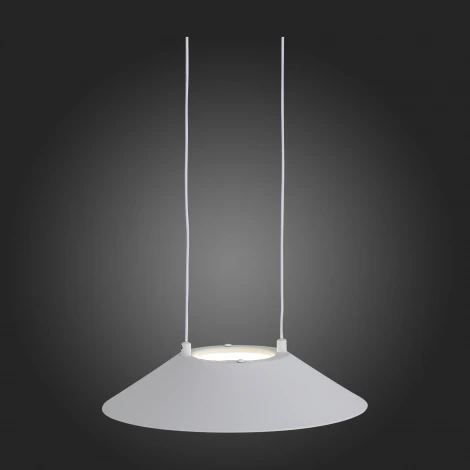 Подвесной светильник ST Luce Pitto SL427.503.01
