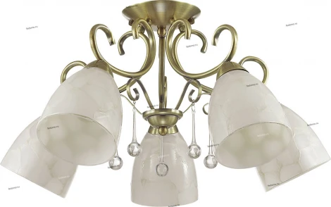 Потолочная люстра Lumion Eleconca 3511/5C