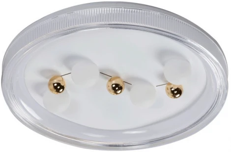 Потолочный светодиодный светильник круглый с пультом De City Норден 660016501