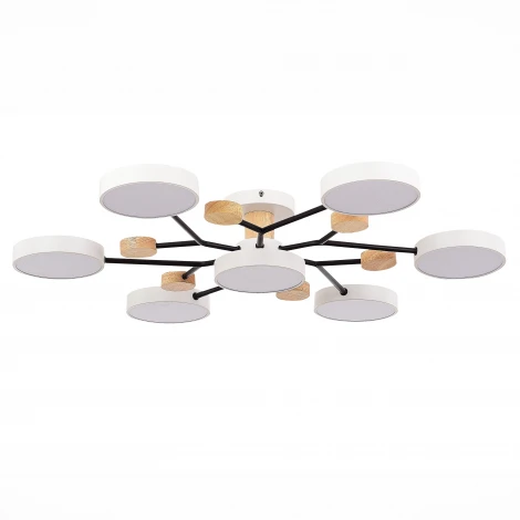 Потолочная люстра на штанге Evoluce Faema SLE6006-502-07 (LED, 220V, круглые)