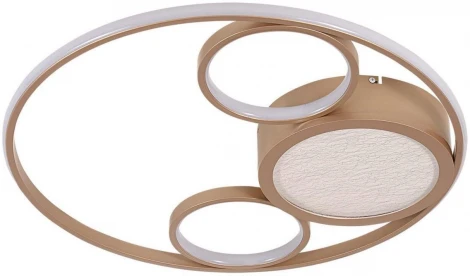 Потолочный светильник круглый F-Promo Campus 4681-4C (LED, 220V)