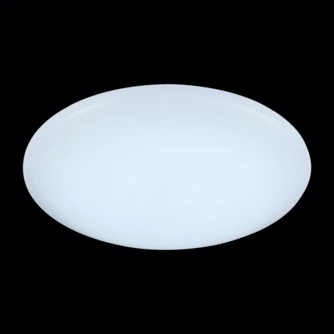 Настенно-потолочный светильник ST Luce Liscio SL875.442.01