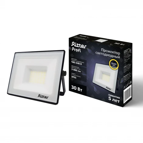 Прожектор уличный светодиодный Ritter PROFI 53427 7
