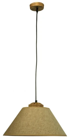 Подвесной светильник Дубравия Бьорн 224-184-21