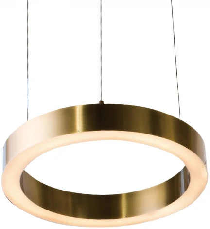 Подвесной светильник Cloyd Raunds 10251 (LED, 220V, на тросе, круглые, кольцо)