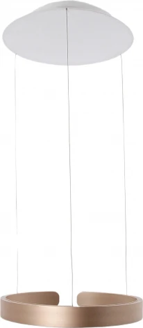 Подвесной светильник светодиодный с регулировкой цветовой температуры и яркости Mizi'en Leo MZ31371-600G (220V, на тросе, кольцо)