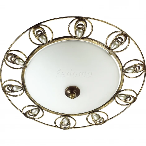 Настенно-потолочный светильник Odeon Light Kanti 3484/2C