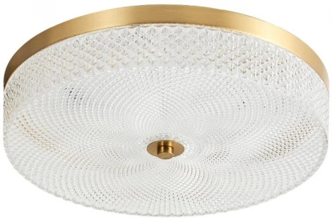 Потолочный светильник светодиодный Arti Lampadari Viro Viro L 1.13.35x9 G