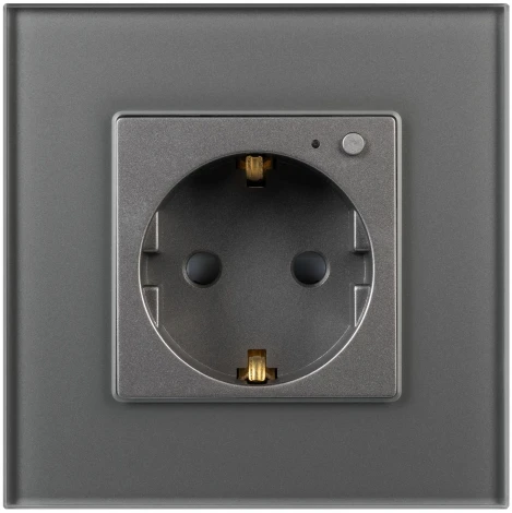 Розетка электрическая с Zigbee управлением SCT-OMALI-EUZB1-PL-GR (240V, 16A, Zigbee) (Arlight) 050101