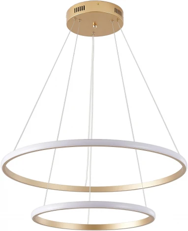 Подвесной светильник Zortes Ringolight ZRS.33320.63C (LED, 220V, на тросе)