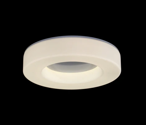 Потолочный светильник ST Luce SL886 SL886.512.01