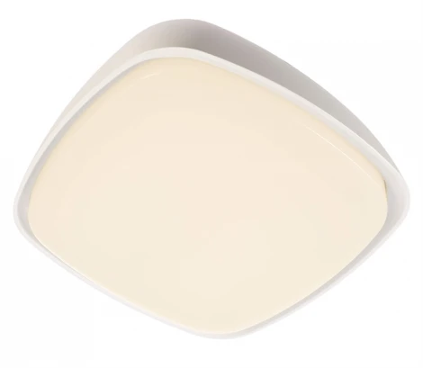 Уличный потолочный светильник Deko-Light Aurigae 348121 (LED, 220V, IP65)