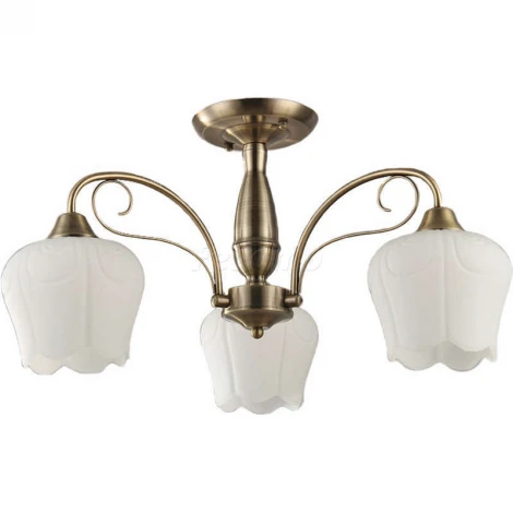 Collezioni Bacco TC-110-103