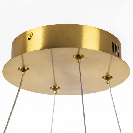 Подвесной светильник светодиодный Lightstar Vidare 699043 (220V, на тросе)