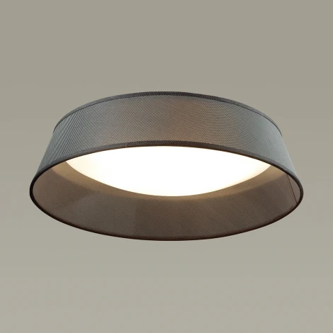 Потолочный светильник Odeon Light Sapia 4158/5C