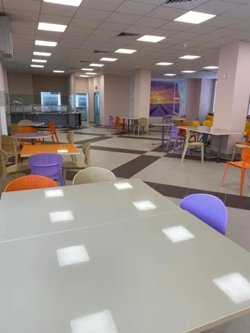 Стул Sheffilton SHT-S111-P бежевый/бежевый от фабрики Sheffilton