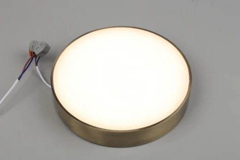Потолочный светильник круглый Aployt Evon APL.0113.29.24 (LED, 220V, круглые)