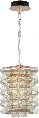 Подвесной светильнк ST Luce Strozzi SL6137.203.01 медь/прозрачный E14 1*40W (220V, на цепи, круглые)