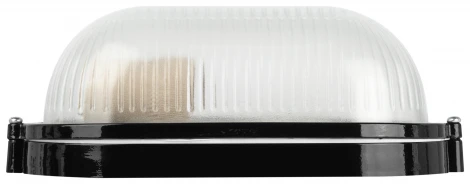 Настенно-потолочный светильник ЭРА НБП 04-60-001 в инд. упаковке НБП 04-60-001 черный