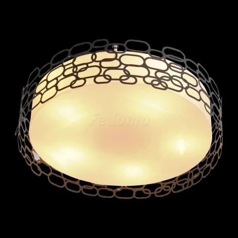 Потолочный светильник ST Luce Ciatura SL304.402.05
