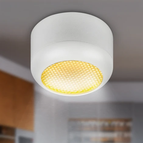 Точечный светильник ЭРА OL56 WH OL56 WH