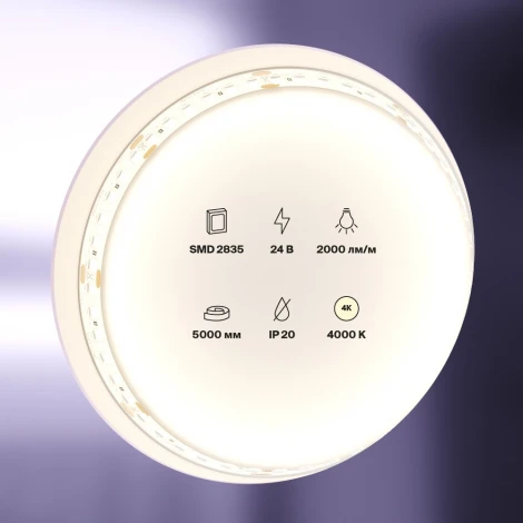 Светодиодная лента Maytoni Led strip 10155