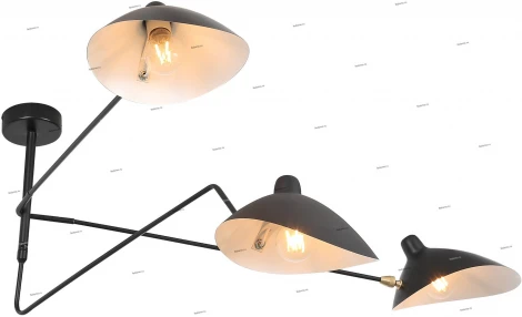 Потолочная люстра ST Luce Spruzzo SL305.402.03