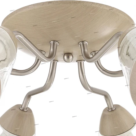 Потолочная люстра J-Light Karina 1067/6C