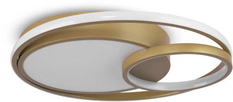 Потолочный светильник Freya Naton FR10028CL-L80G