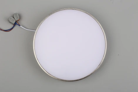 Потолочный светильник круглый Aployt Evon APL.0114.19.24 (LED, 220V, круглые)