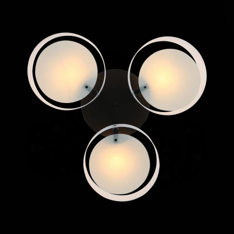 Потолочная люстра ST Luce Foresta SL483.402.03