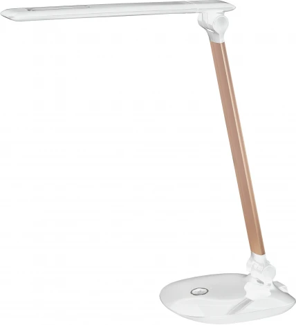 Офисная настольная лампа Эра NLED-456-10W-W-G