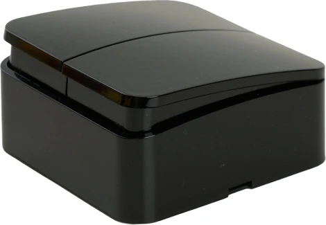 Выключатель двухклавишный (черный) Stekker София 49293