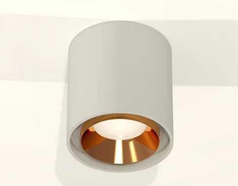 Накладной точечный светильник Ambrella Techno Spot XS7724004 (220V, круглые)