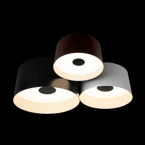 Подвесной светильник Loft It Duo 10360/3 (LED, 220V)