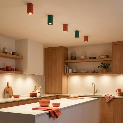 Потолочный светильник Citilux Axel CL512115 Зеленый