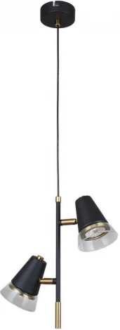 Подвесной светильник F-Promo Trandy 4618-2P (220V, на проводе)