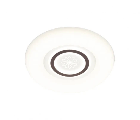 Настенно-потолочный светильник Мелодия Света CW1L 000024775