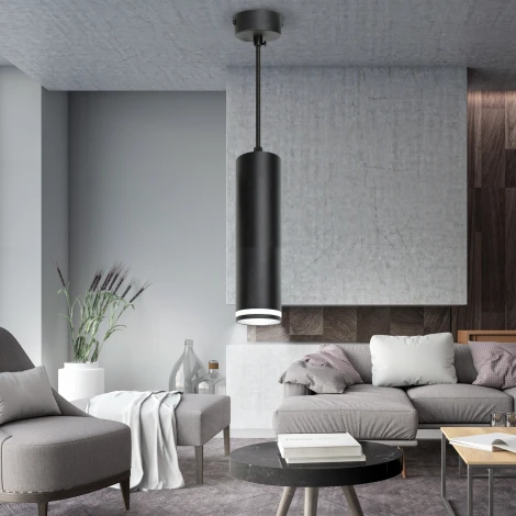 Подвесной светильник ЭРА PL 16 BK (220V, на проводе)