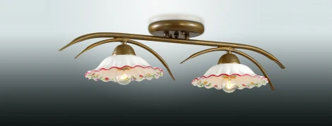 Потолочная люстра Odeon Light Camili 2647/2C