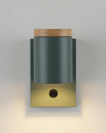 Спот с выключателем Moderli Asheswood V11294-1W (220V)