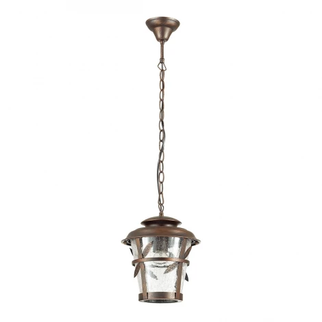 Уличный светильник подвесной Odeon Light Aletti 4052/1