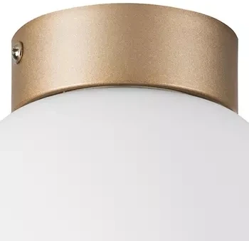 Потолочный светильник круглый Lightstar Globo 812013 (220V, шар)