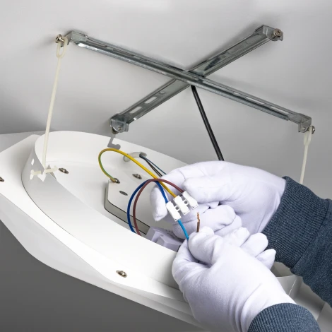 Потолочная люстра светодиодная Ritter Carino 52069 0